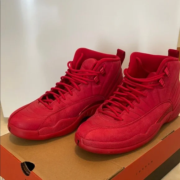 Nike Air Jordan 12 Retro men’s size 10 - Picture 1 of 16